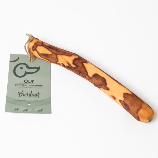 Bois d’olivier à mâcher pour chien – jouet naturel et durable PAW